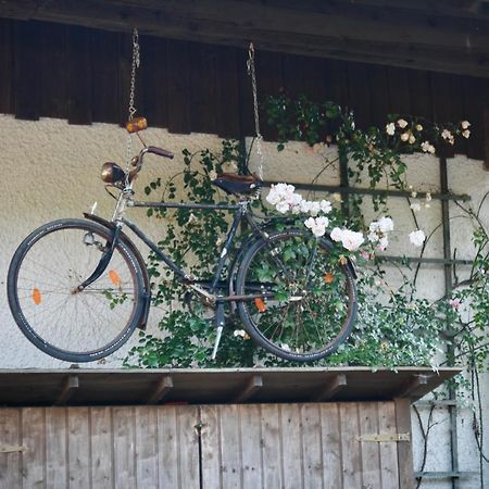 Gartenwohnung Im Gut Sonnenwald Schöllnach エクステリア 写真