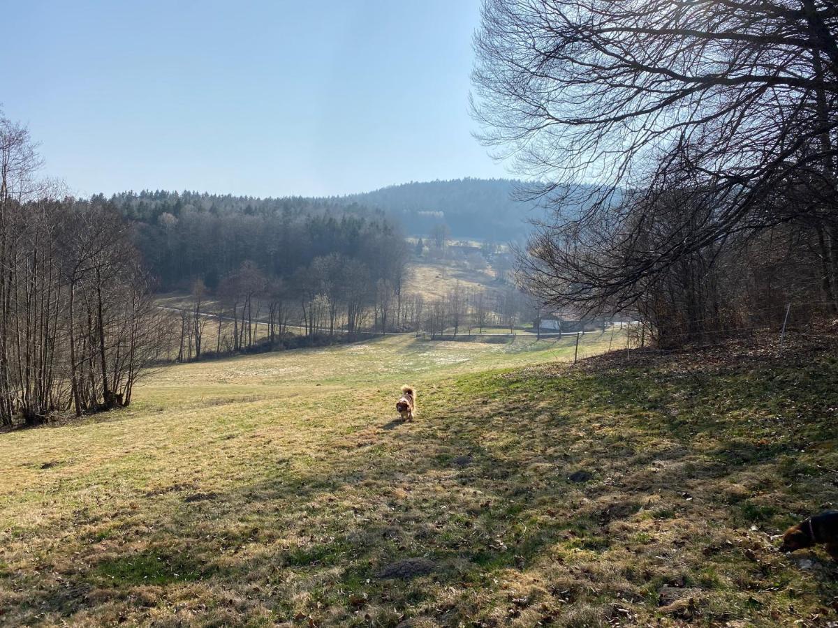 Gartenwohnung Im Gut Sonnenwald Schöllnach エクステリア 写真
